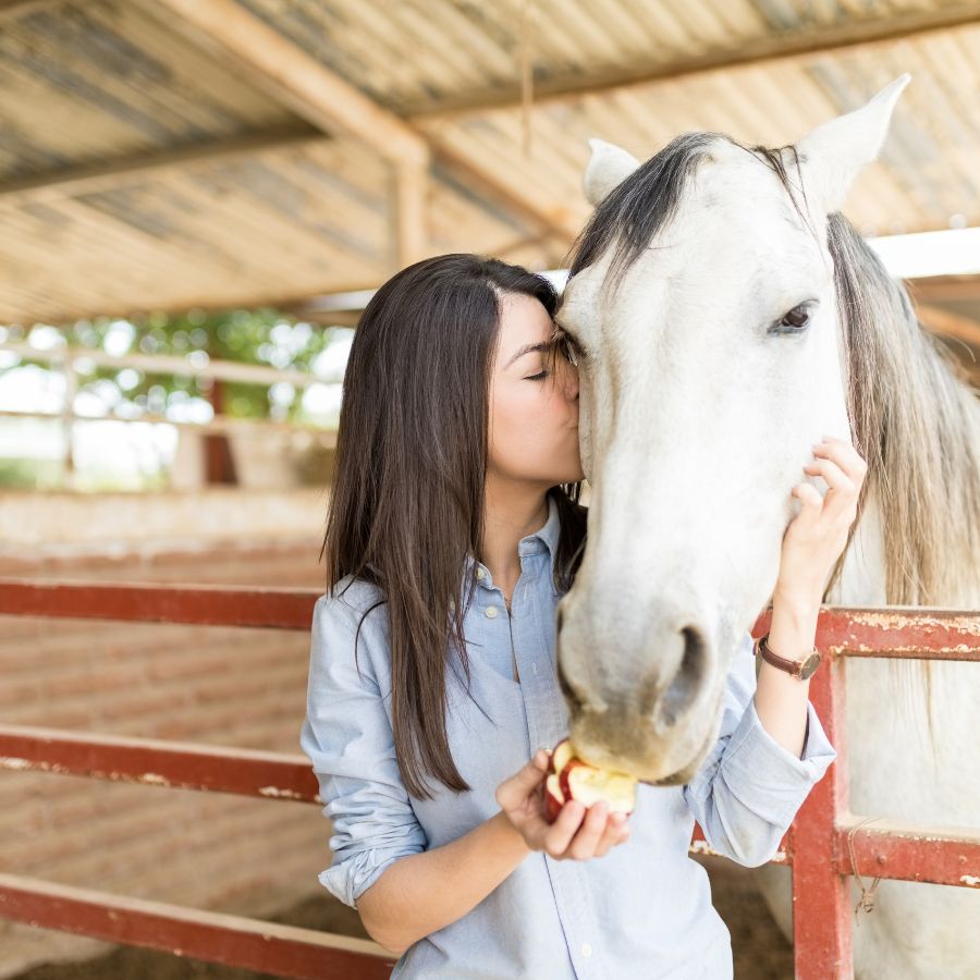 Equine Therapy