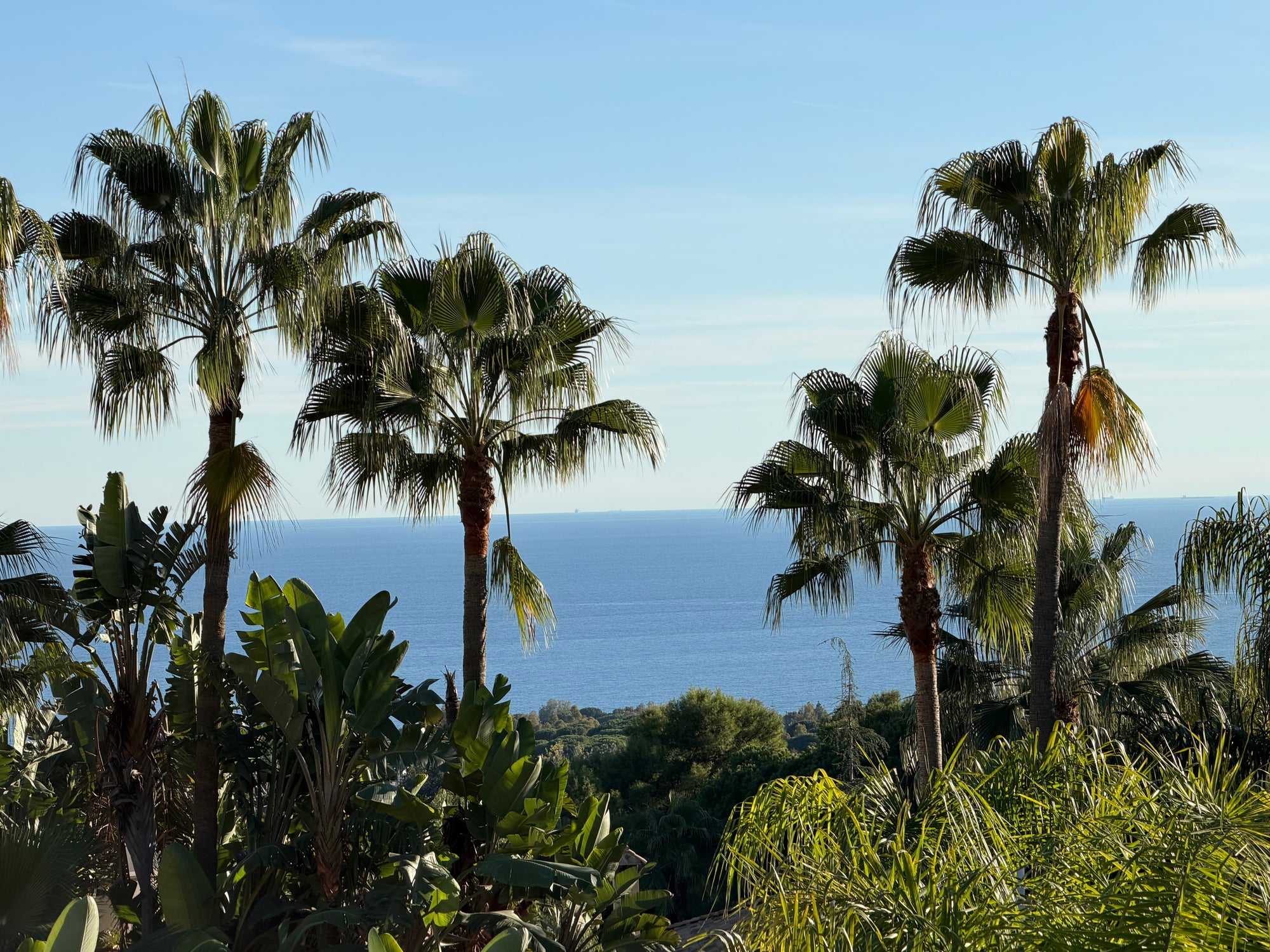 Tranquil beach sunset at Oasis Marbella