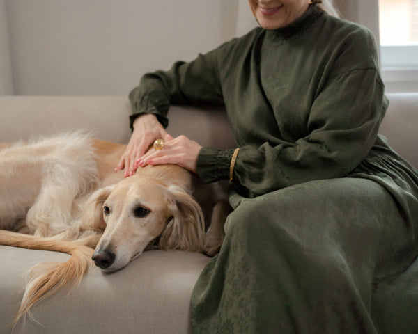 Pet-Friendly Option