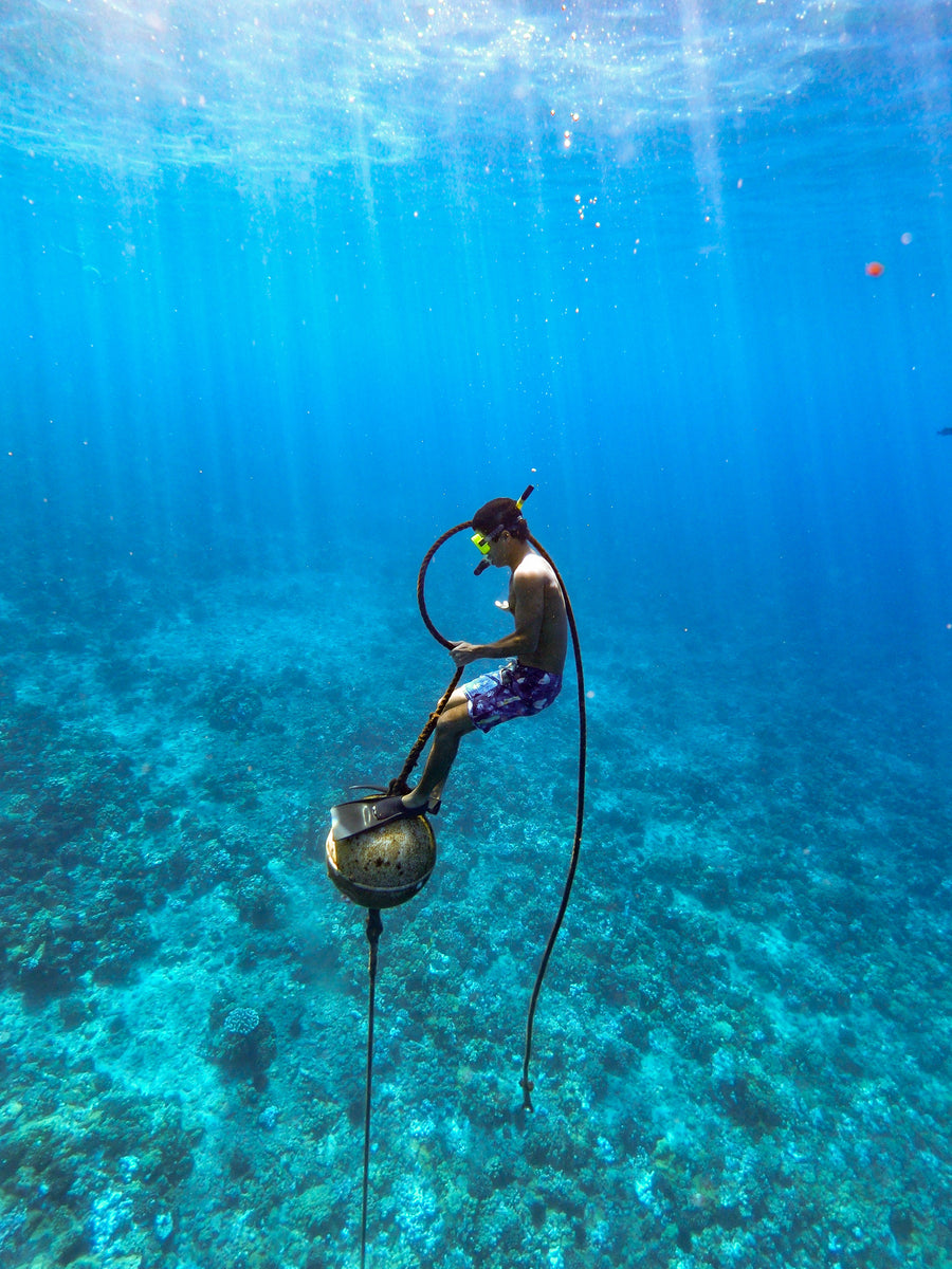 Diving