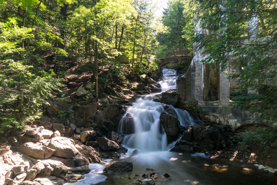 Natural Surroundings